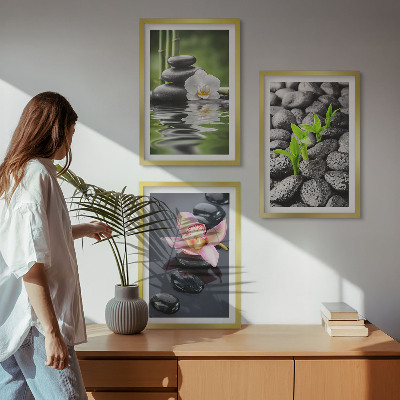 Set di quadri incorniciati Una tranquilla composizione zen di fiori e acqua.