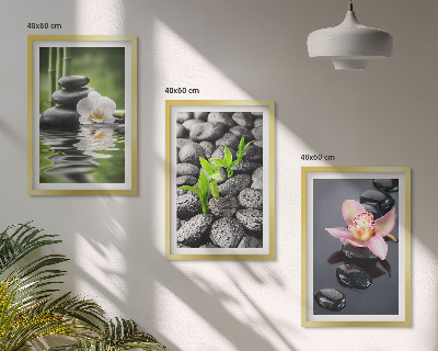 Set di quadri incorniciati Una tranquilla composizione zen di fiori e acqua.