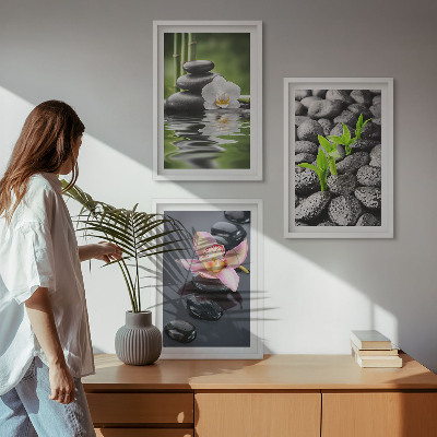 Set di quadri incorniciati Una tranquilla composizione zen di fiori e acqua.