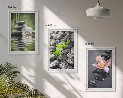 Set di quadri incorniciati con una tranquilla composizione zen di fiori e acqua