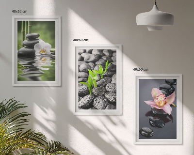 Set di quadri incorniciati Una tranquilla composizione zen di fiori e acqua.