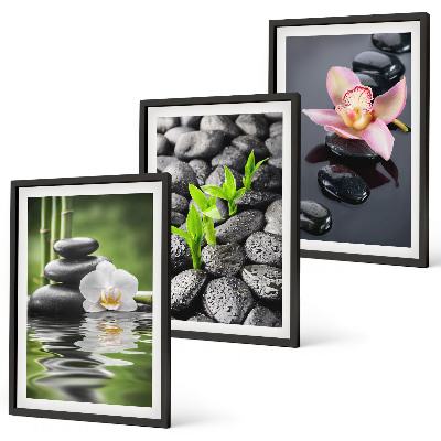 Set di quadri incorniciati Una tranquilla composizione zen di fiori e acqua.