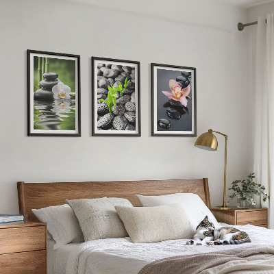Set di quadri incorniciati Una tranquilla composizione zen di fiori e acqua.