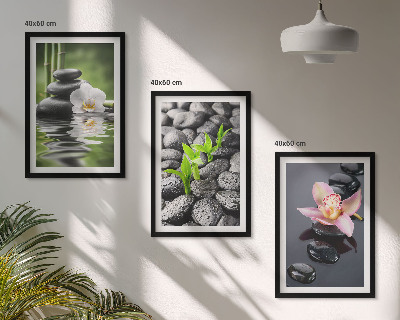 Set di quadri incorniciati Una tranquilla composizione zen di fiori e acqua.