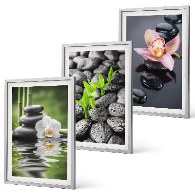 Set di quadri incorniciati Una tranquilla composizione zen di fiori e acqua.
