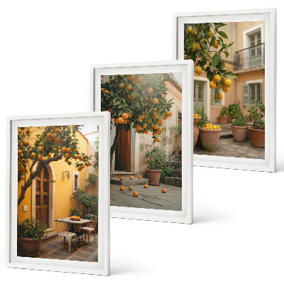 Set di quadri incorniciati Sole da giardino agli agrumi