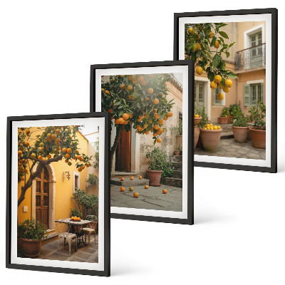 Set di quadri incorniciati Sole da giardino agli agrumi