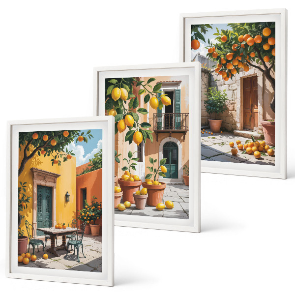 Set di 3 quadri Agrumi in giardino