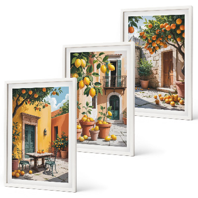 Set di 3 quadri Agrumi in giardino