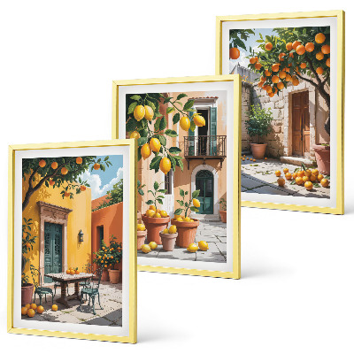 Set di 3 quadri Agrumi in giardino