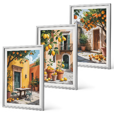 Set di 3 quadri Agrumi in giardino