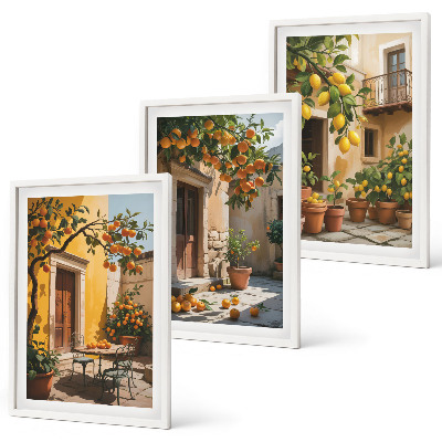 Set di quadri incorniciati Piante da cortile per agrumi