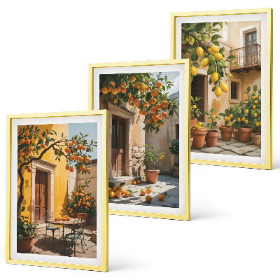 Set di quadri incorniciati Piante da cortile per agrumi