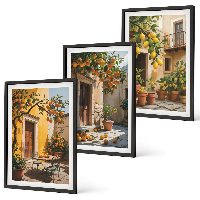 Set di quadri incorniciati Piante da cortile per agrumi