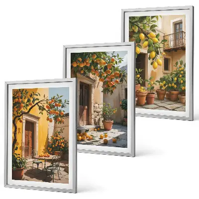 Set di quadri incorniciati con piante da cortile per agrumi