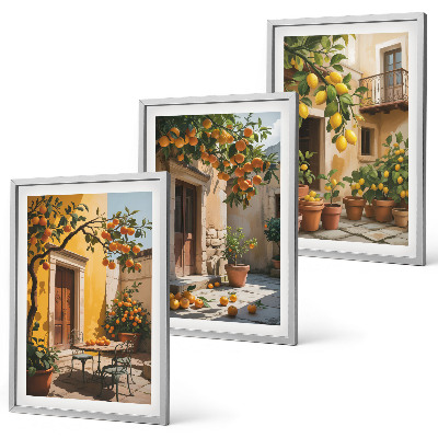 Set di quadri incorniciati Piante da cortile per agrumi