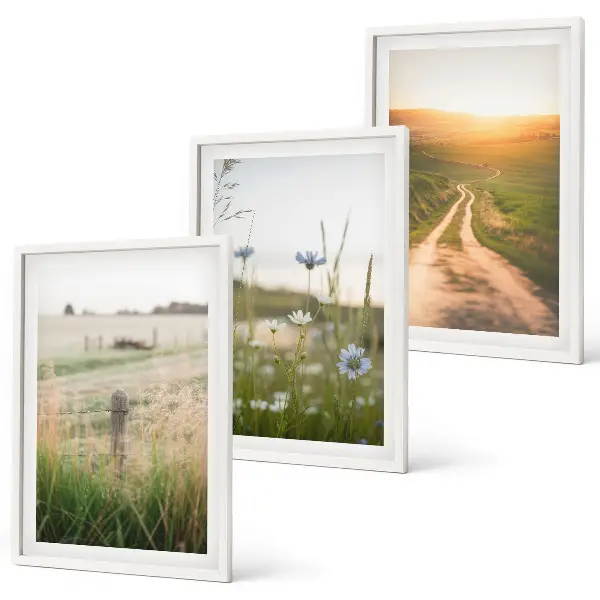 Set di 3 quadri con paesaggio naturale di campi e sentiero