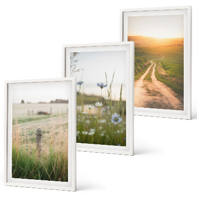 Set di 3 quadri Paesaggi natura campi sentiero