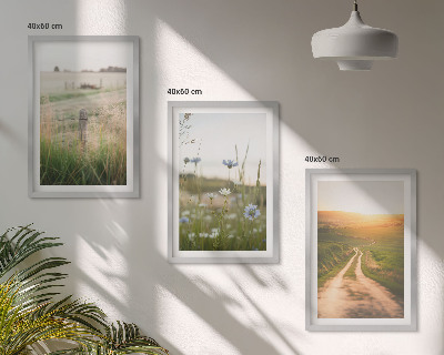 Set di 3 quadri Paesaggi natura campi sentiero