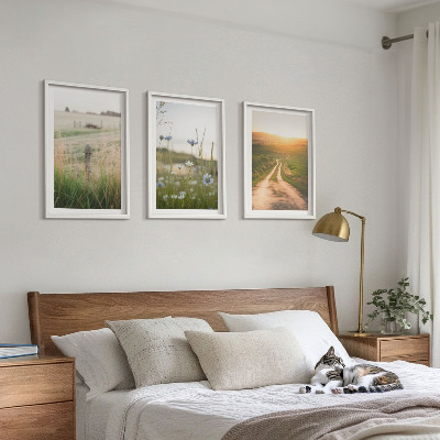 Set di 3 quadri Paesaggi natura campi sentiero
