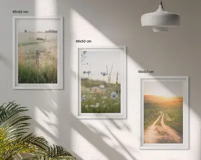 Set di 3 quadri con paesaggio naturale di campi e sentiero
