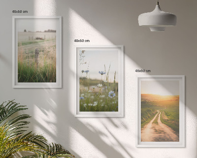 Set di 3 quadri Paesaggi natura campi sentiero