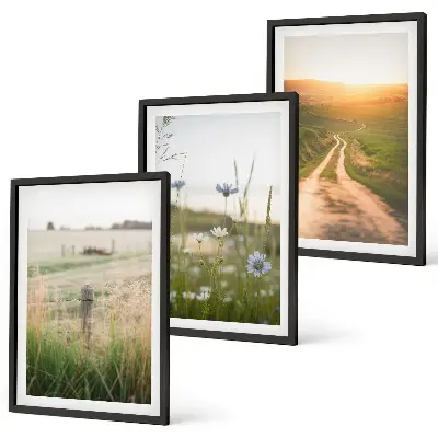 Set di 3 quadri con paesaggio naturale di campi e sentiero