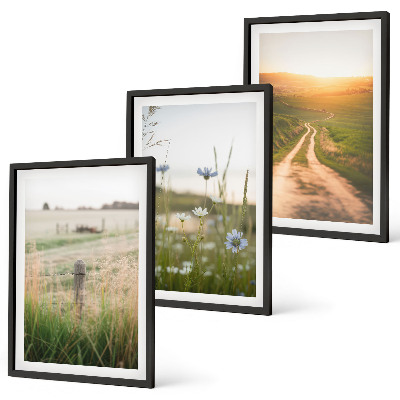 Set di 3 quadri Paesaggi natura campi sentiero