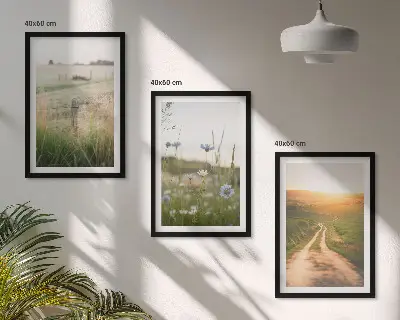 Set di 3 quadri con paesaggio naturale di campi e sentiero