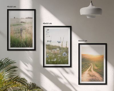 Set di 3 quadri Paesaggi natura campi sentiero