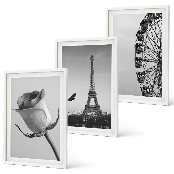 Set di 3 quadri Ruota panoramica della Torre Eiffel rosa