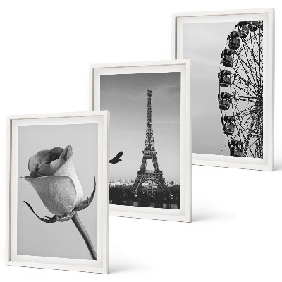 Set di 3 quadri Ruota panoramica della Torre Eiffel rosa