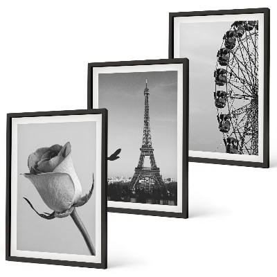 Set di 3 quadri Ruota panoramica della Torre Eiffel rosa