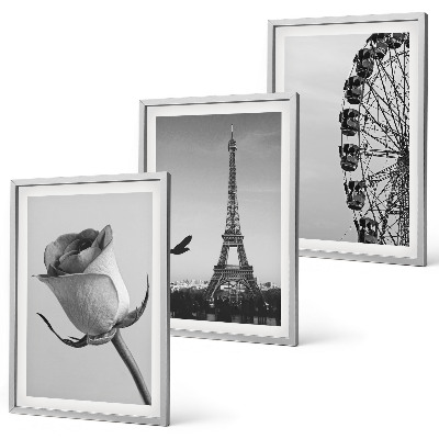 Set di 3 quadri Ruota panoramica della Torre Eiffel rosa