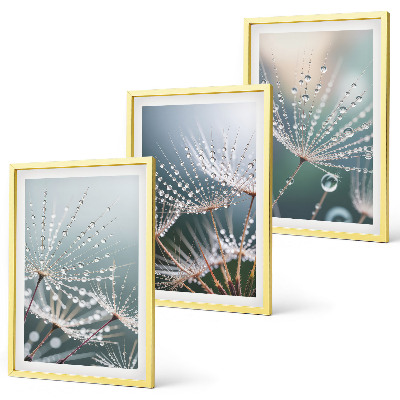 Set di quadri incorniciati Gocce d'acqua sui germogli di tarassaco