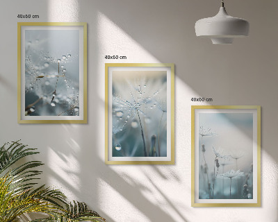 Set di 3 quadri Gocce di rugiada sui denti di leone