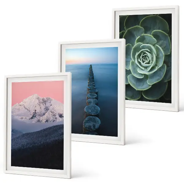 Set di 3 quadri con paesaggio di montagne sotto un cielo rosa e succulenta d'acqua