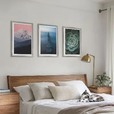 Set di 3 quadri con paesaggio di montagne sotto un cielo rosa e succulenta d'acqua