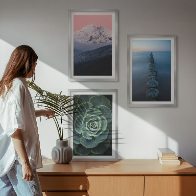 Set di 3 quadri Montagne cielo rosa acqua succulenta