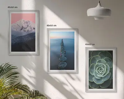 Set di 3 quadri con paesaggio di montagne sotto un cielo rosa e succulenta d'acqua