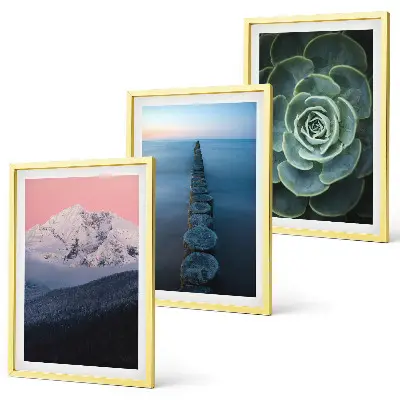 Set di 3 quadri con paesaggio di montagne sotto un cielo rosa e succulenta d'acqua