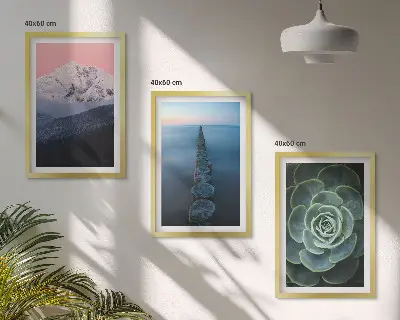 Set di 3 quadri con paesaggio di montagne sotto un cielo rosa e succulenta d'acqua