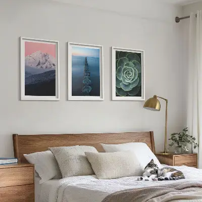 Set di 3 quadri con paesaggio di montagne sotto un cielo rosa e succulenta d'acqua