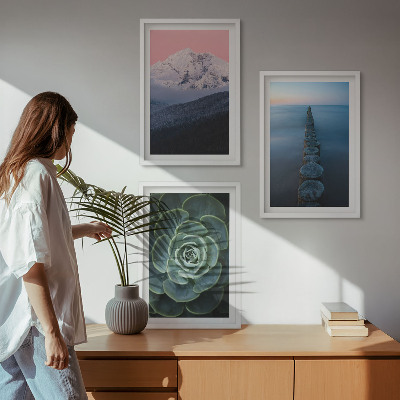 Set di 3 quadri Montagne cielo rosa acqua succulenta