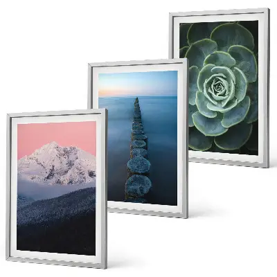 Set di 3 quadri con paesaggio di montagne sotto un cielo rosa e succulenta d'acqua
