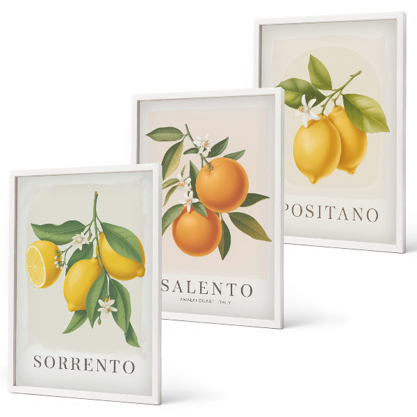 Set di 3 quadri limoni e arance di Amalfi
