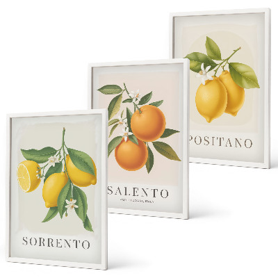 Set di 3 quadri limoni e arance di Amalfi