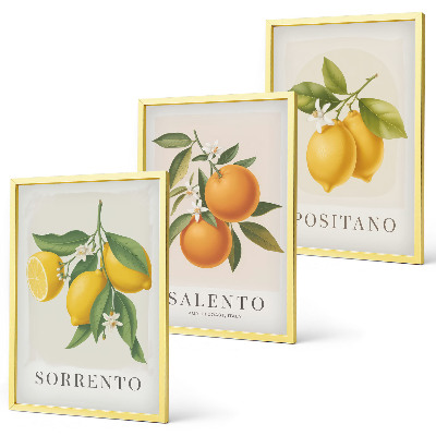 Set di 3 quadri limoni e arance di Amalfi