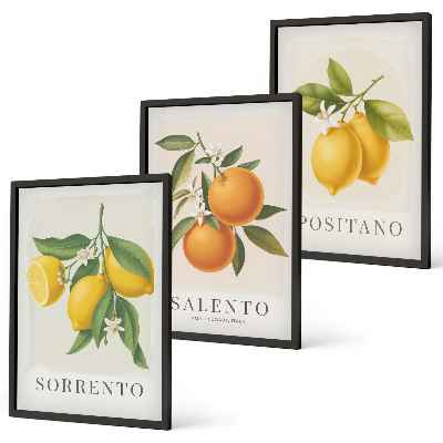 Set di 3 quadri limoni e arance di Amalfi