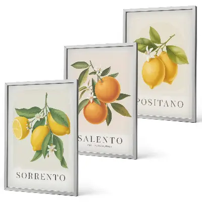 Set di 3 quadri con limoni e arance di Amalfi